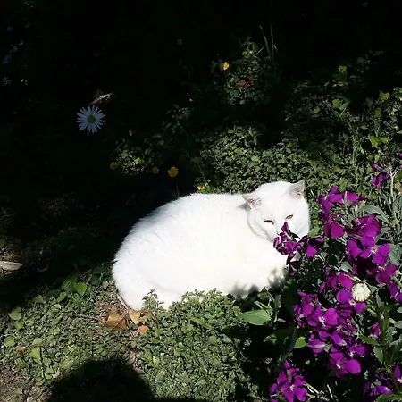 Le Logis De La Lande Penzion 3*