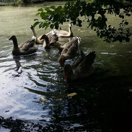 Le Logis De La Lande La Boissière-des-Landes