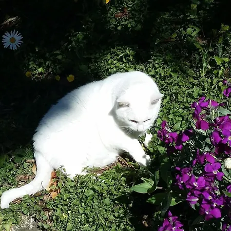 Penzion Le Logis De La Lande La Boissière-des-Landes