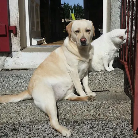 Penzion Le Logis De La Lande